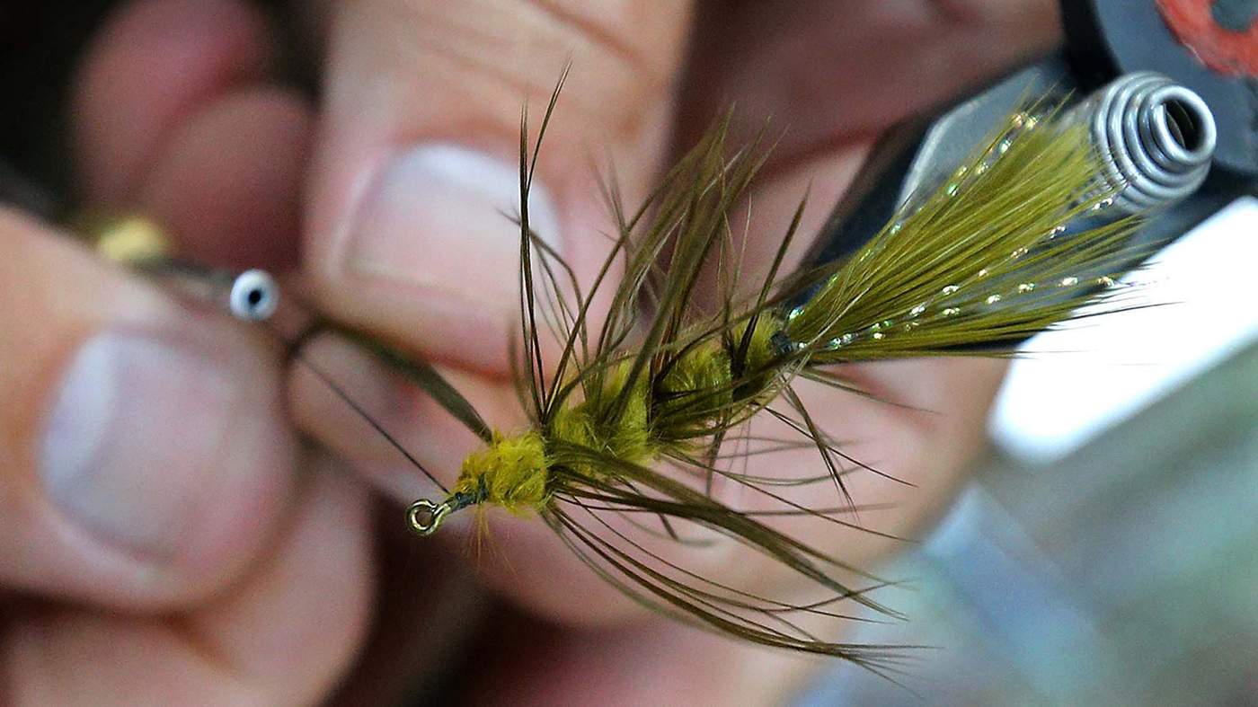 Fight the urge…. - Fly Fishing, Gink and Gasoline