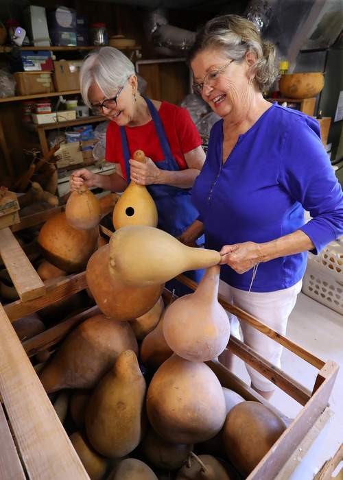 Priscilla Wilson (left) and her wife, Janice Lymburner, who runs the shop at the Gourd Place, pick through a bin of raw gourds for sale.