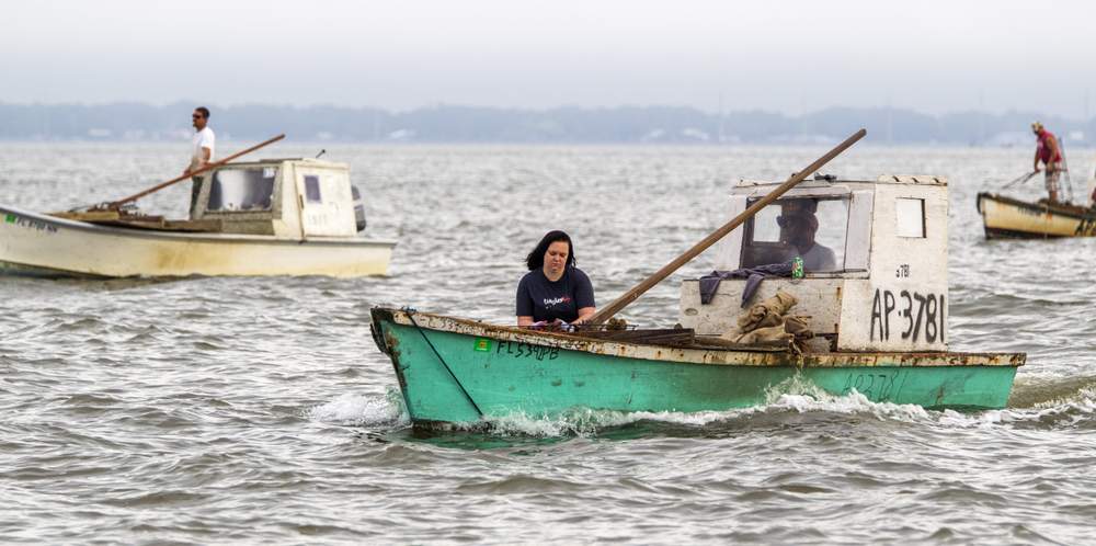 In this Thursday, April 2, 2015 photo, Thea Cruse culls Apalachicola oysters while Brandon Taylor motors the boat to a new spot on Apalachicola Bay near Eastpoint, Fla. (AP Photo\/Mark Wallheiser)