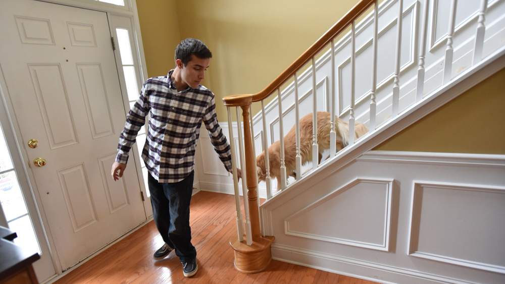 Samuel, followed by the family dog Chassie, comes downstairs to greet his father Alex.