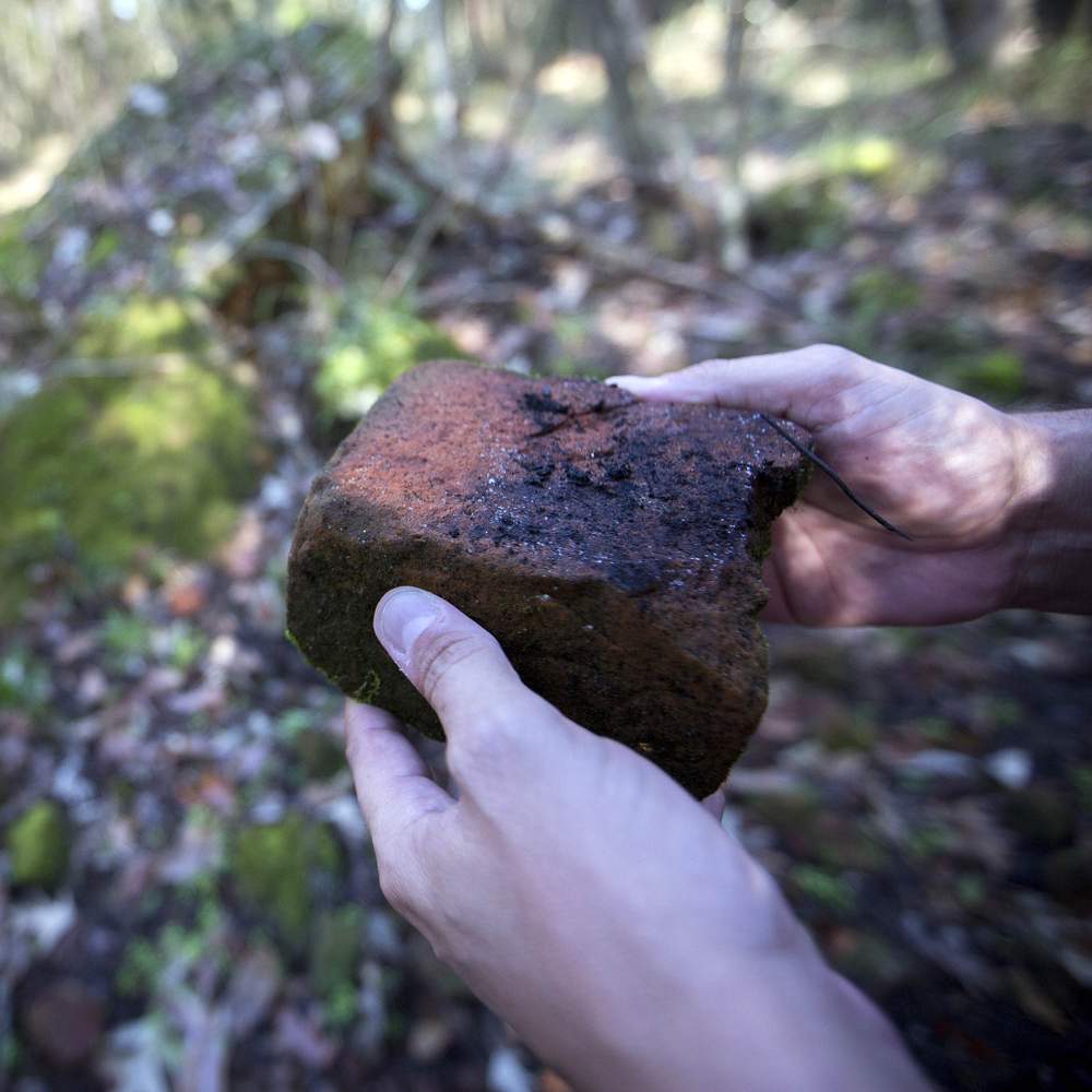 Solomon Smith, Assistant Professor of History at Georgia Southern University,  holds piece of brick from the ruins of the Mulberry Grove plantation. (Stephen B. Morton\/AJC)