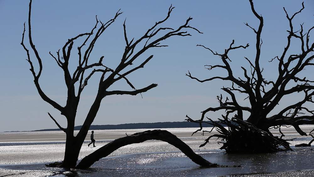Ossabaw Island Is Worth The Extra Effort It Takes To Get There