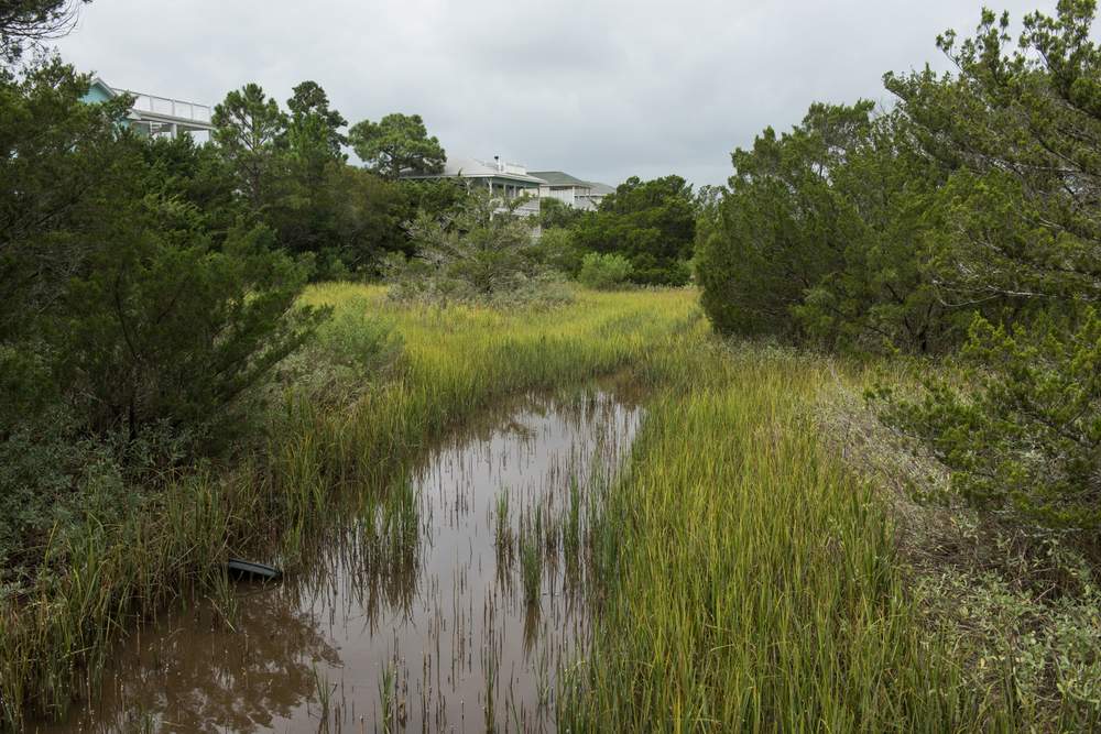 The small tidal creek and marsh at the end of Byers Street in Tybee Island runs nearly up to the doors of some homes. With the Atlantic Ocean, Savannah River Sound and thousands of acres of marsh, homes on the small residential and vacation island are surrounded on all sides by water.PHOTO: John Carrington / Special