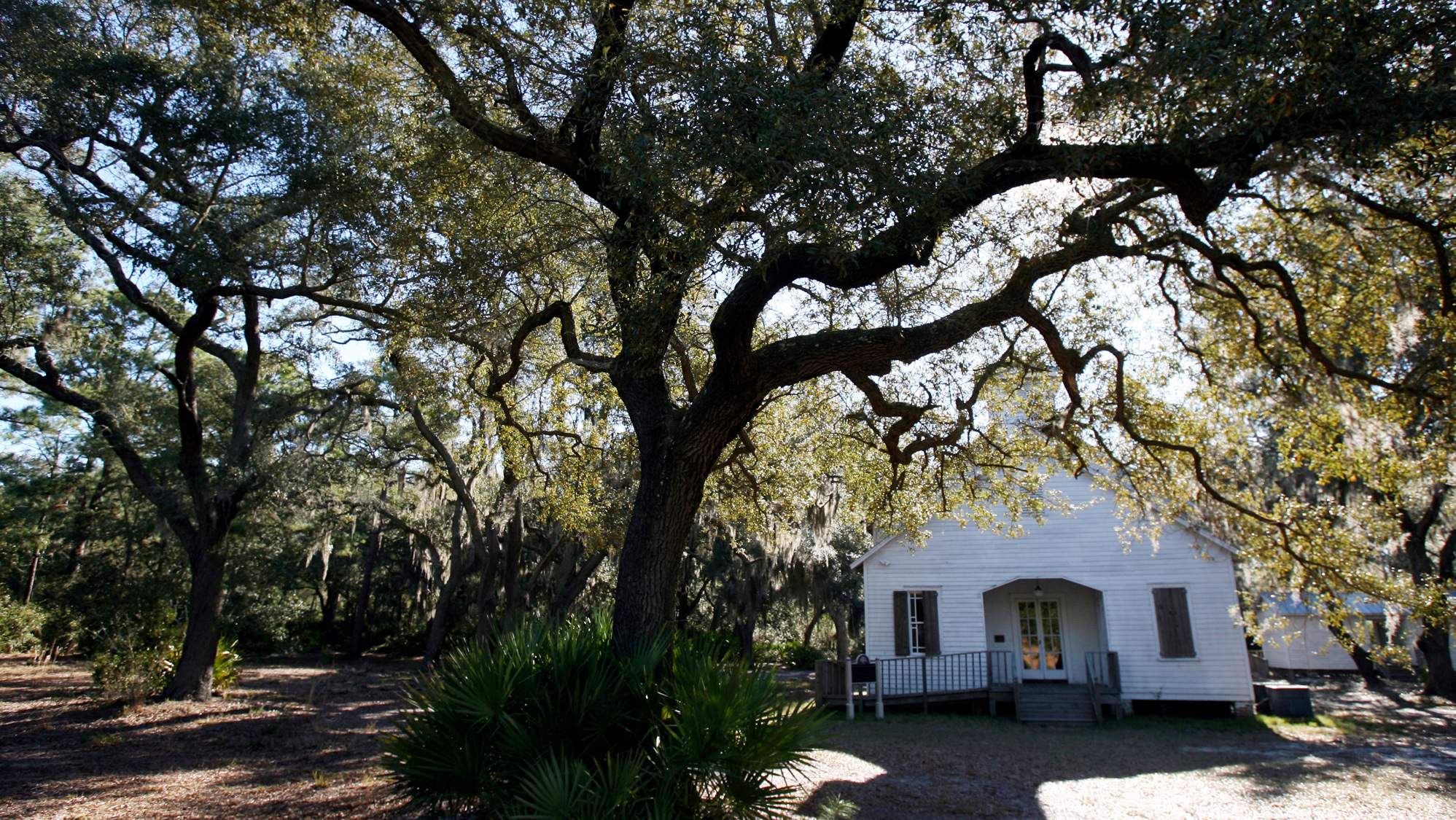 Geechee community endures on Sapelo Island, but just barely