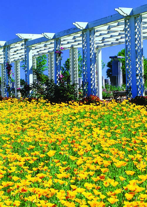 Romp through open meadows, get nose to nose with butterflies and dine in the new restaurant at the 112-acre Huntsville Botanical Garden. CONTRIBUTED BY ALABAMA TOURISM DEPARTMENT