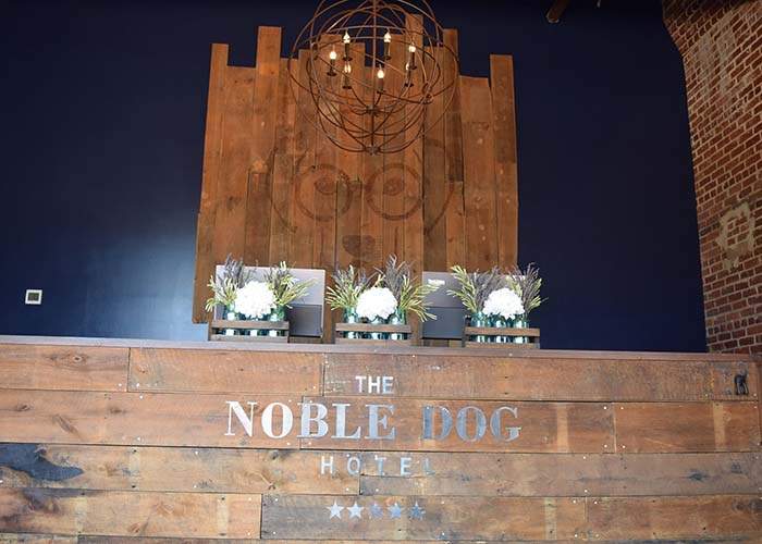 The Noble Dog Hotel provides luxurious accommodations for dogs in Greenville. CONTRIBUTED BY NOBLE DOG HOTEL