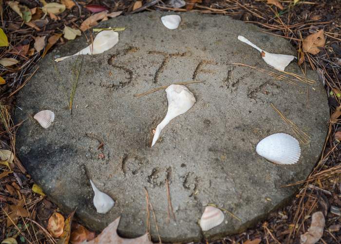 A stepping stone engraved with Steve's name in the garden Sherron maintains in his memory.