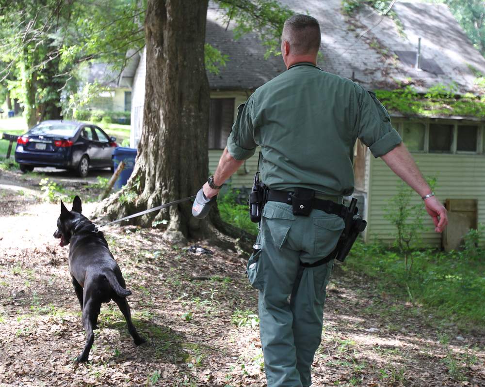 Walker keeps Diesel on a short leash as before entering a house to check for drugs.