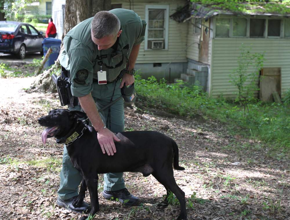 Before entering a home Walker prepares Diesel for work.