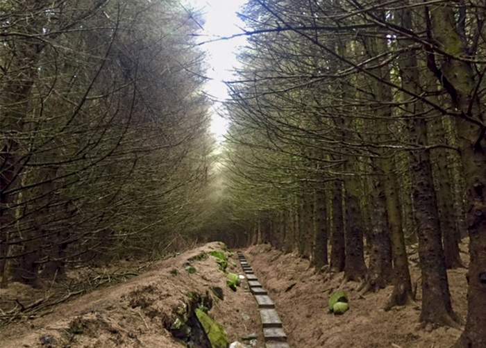 The Wicklow Way crosses the Wicklow Mountains near Lough Tay. The trail is the oldest marked trail in Ireland and stretches about 130 kilometers, or 80 miles. 