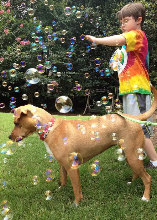 Xena and Jonny enjoying some bubbles. Contributed by Linda Hickey.